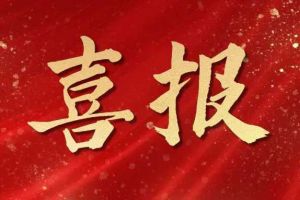 雀跃欢呼 | 九游ag网页版直接进入（中国）有限公司集团荣膺佬麻雀“最佳战略合作伙伴”